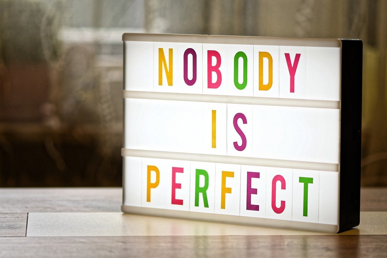 nobody-is-perfect-4393573_1280 (1)